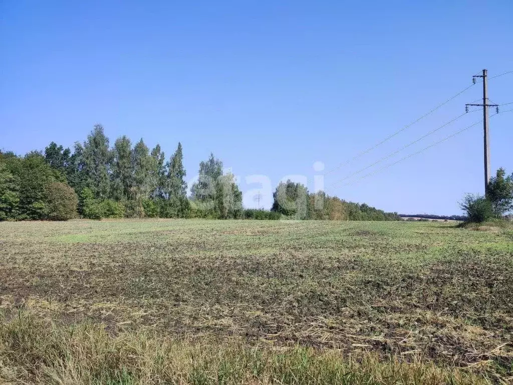 Участок в Тульская область, Тула муниципальное образование, д. ... - Фото 0