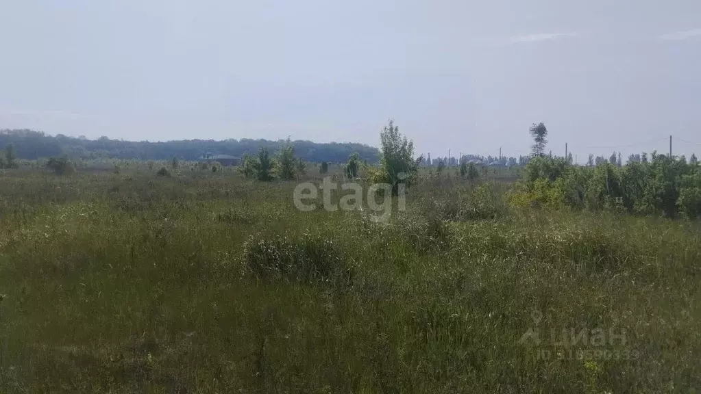 Участок в Белгородская область, Белгородский район, Ериковское с/пос, ... - Фото 1