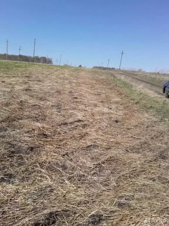 Участок в Свердловская область, Талицкий муниципальный округ, с. ... - Фото 1