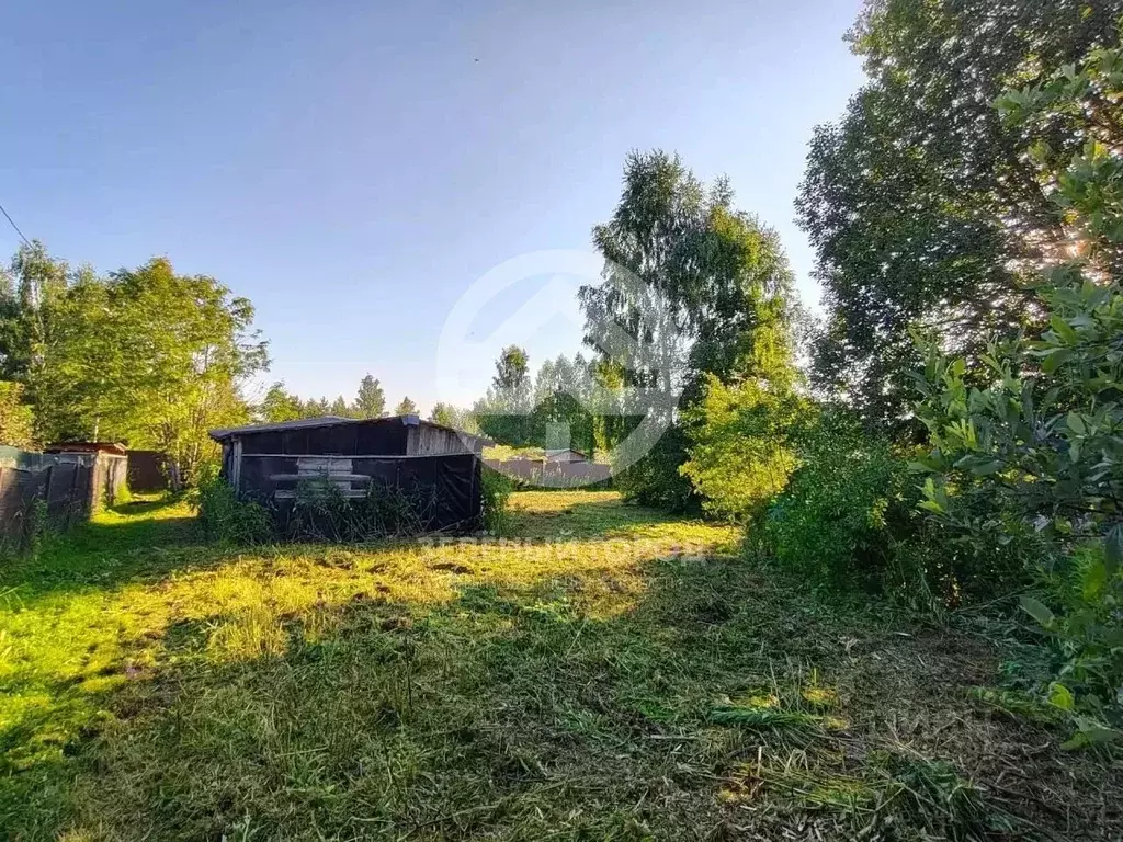 Участок в Московская область, Клин городской округ, д. Иевлево ул. ... - Фото 1