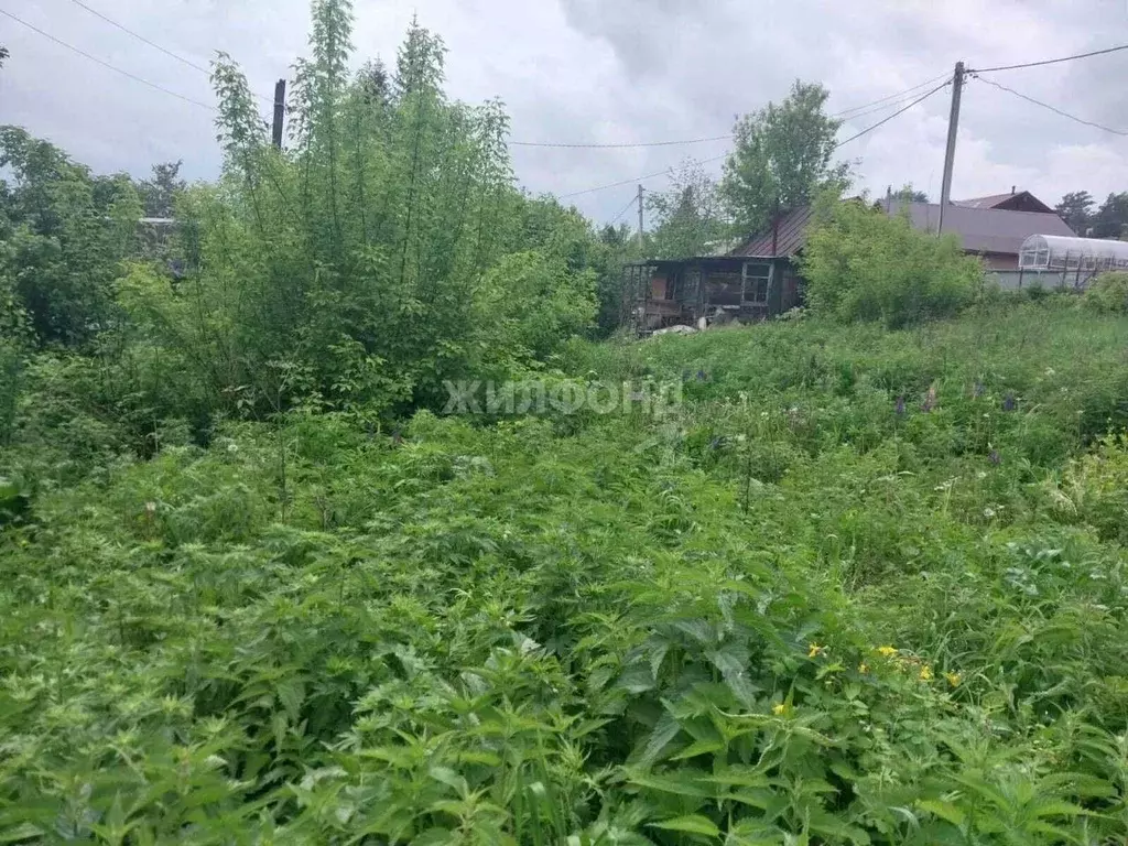 Дом в Новосибирская область, Новосибирск Угольщик садовое ... - Фото 1