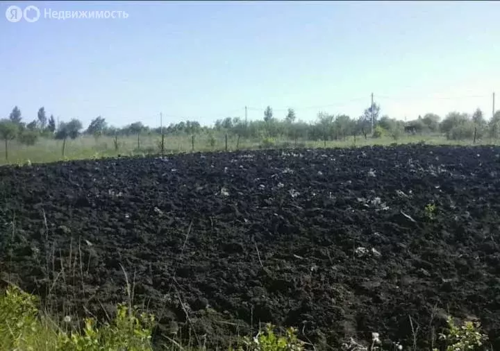 Участок в Орловский муниципальный округ, деревня Нижняя Калиновка (15 ... - Фото 0
