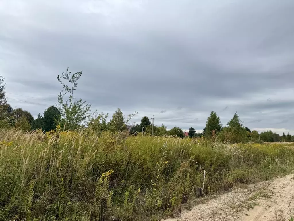 Участок в Калужская область, Калуга городской округ, д. Тинино ул. ... - Фото 2