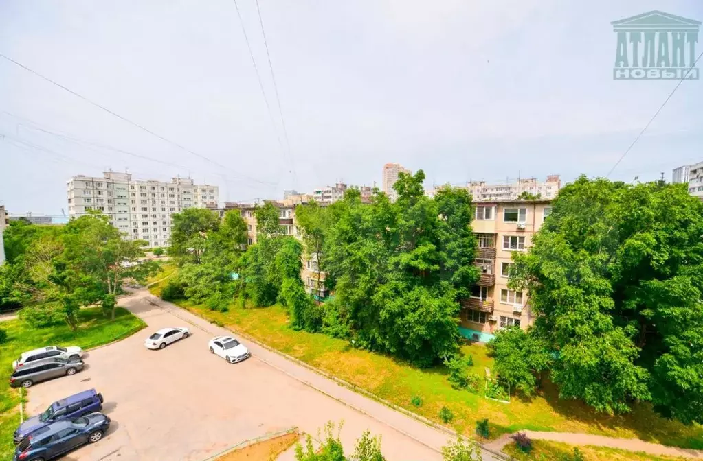 2-к. квартира, 50,3 м, 5/10 эт. - Фото 1