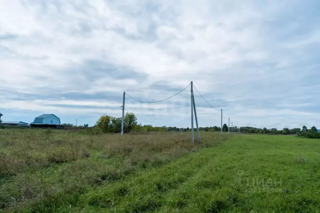 Участок в Алтайский край, Смоленский район, с. Смоленское ул. ... - Фото 1