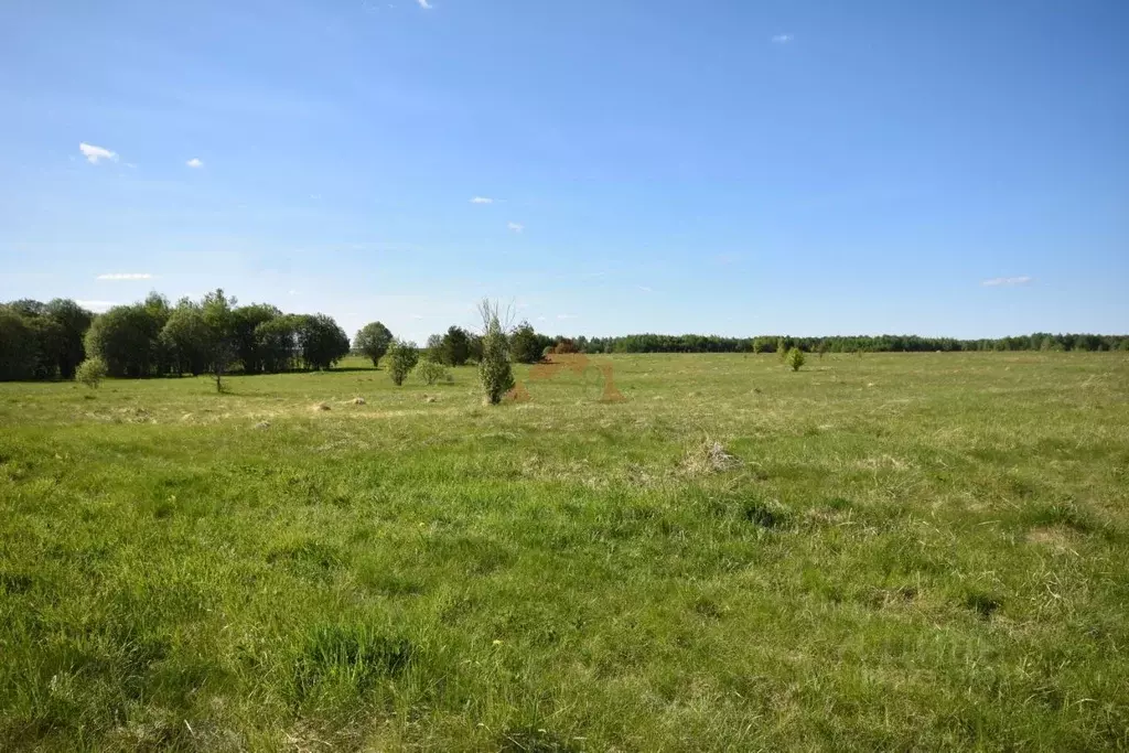 Участок в Владимирская область, Кольчугинский муниципальный округ, д. ... - Фото 1