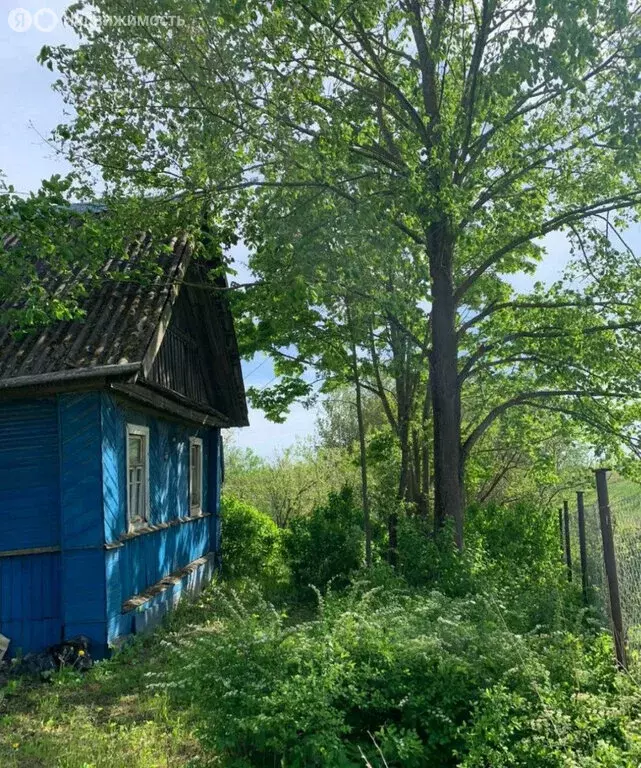 Дом в Новгородская область, Шимское городское поселение, деревня Мшага ... - Фото 2