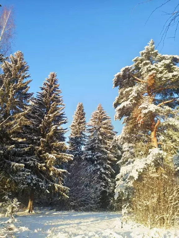 Дом в Пермский край, Пермь Мечта № 62 СНТ,  (45 м) - Фото 0