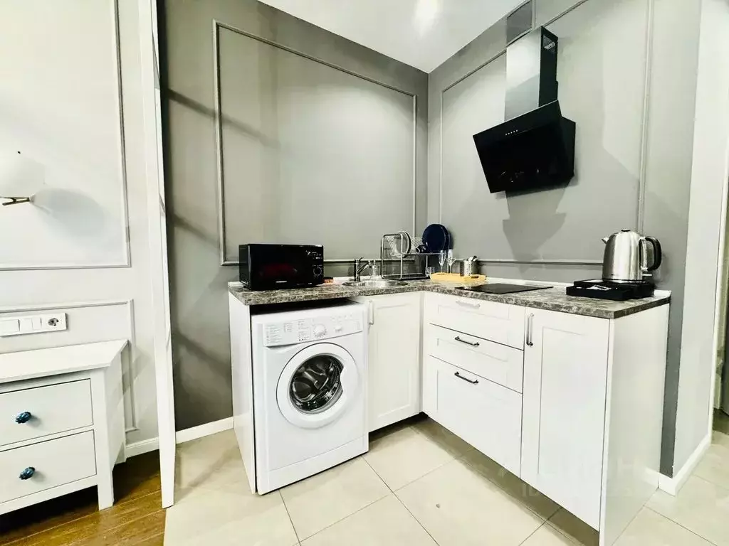 Студия Санкт-Петербург ул. Савушкина, 104 (27.0 м) - Фото 0