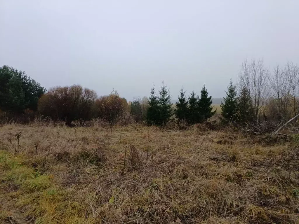 Участок в Московская область, Сергиево-Посадский городской округ, д. ... - Фото 0