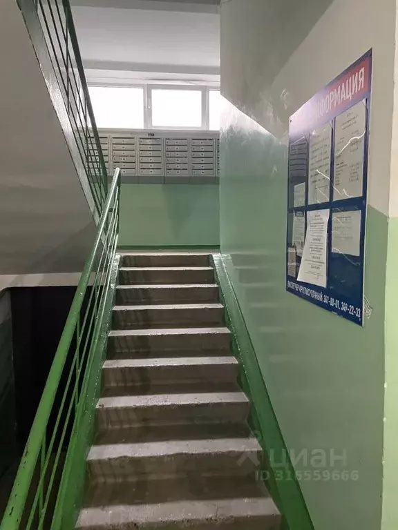 Комната Новосибирская область, Новосибирск Красный просп., 100/2 - Фото 2