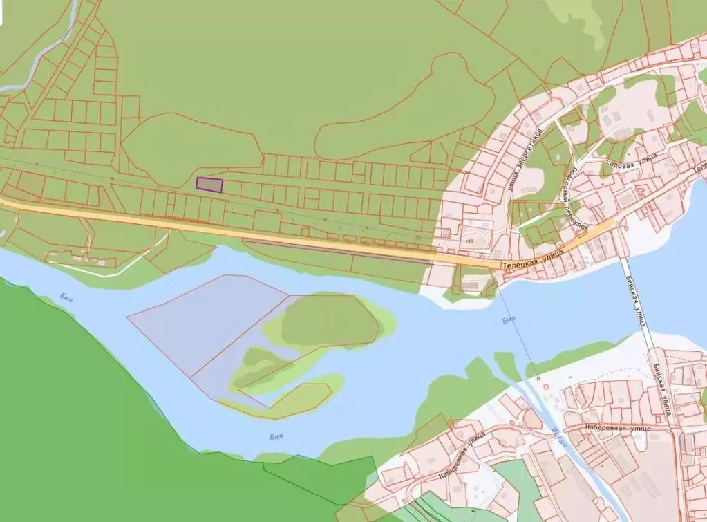 Участок в Алтай, Турочакский район, с. Артыбаш  (17.0 сот.) - Фото 2