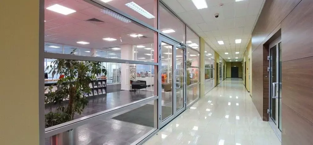 Офис в Московская область, Мытищи Центральная ул., с20Б (965 м) - Фото 2