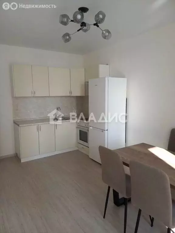 1-комнатная квартира: деревня Анкудиновка, Русская улица, 3 (40.2 м) - Фото 1