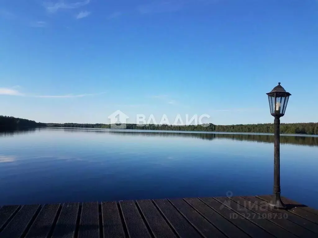 Участок в Ленинградская область, Выборгский район, Приморское ... - Фото 1
