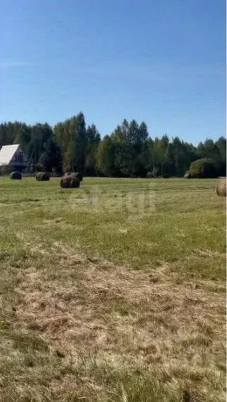 Участок в Ярославская область, Рыбинский муниципальный округ, д. ... - Фото 1