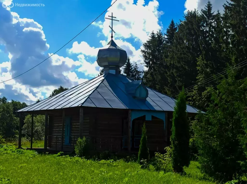 Участок в Лужский район, посёлок Скреблово (420 м) - Фото 2