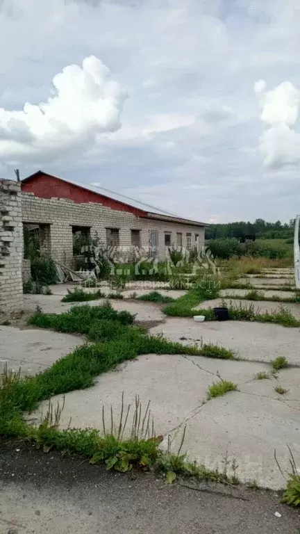 Производственное помещение в Владимирская область, Александровский ... - Фото 0