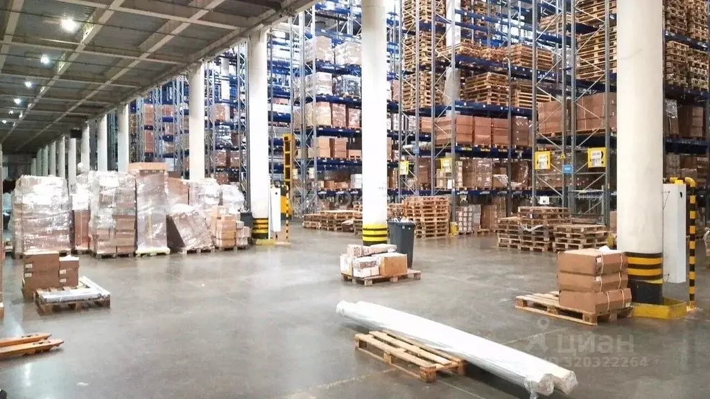 Склад в Московская область, Видное Северная промзона, 4 (11500 м) - Фото 2