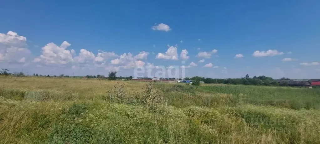 Участок в Воронежская область, Борисоглебский городской округ, с. ... - Фото 0