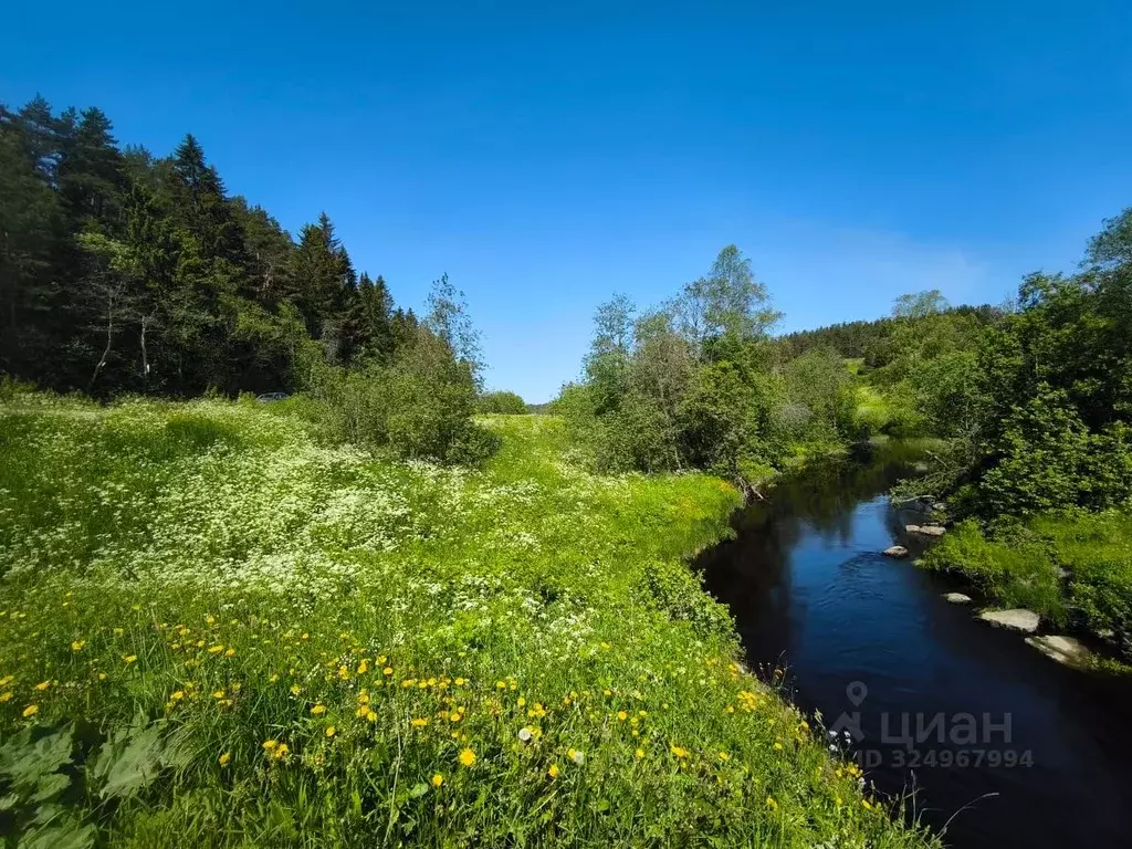 Участок в Карелия, Лахденпохский муниципальный округ, пос. Микли ул. ... - Фото 2