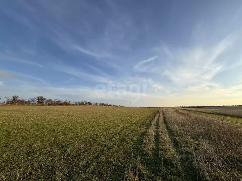 Участок в Крым, Симферопольский район, с. Трудовое  (128.0 сот.) - Фото 1