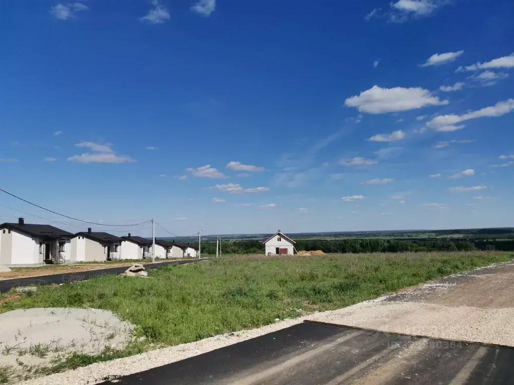 Участок в Нижегородская область, Богородский муниципальный округ, с. ... - Фото 1