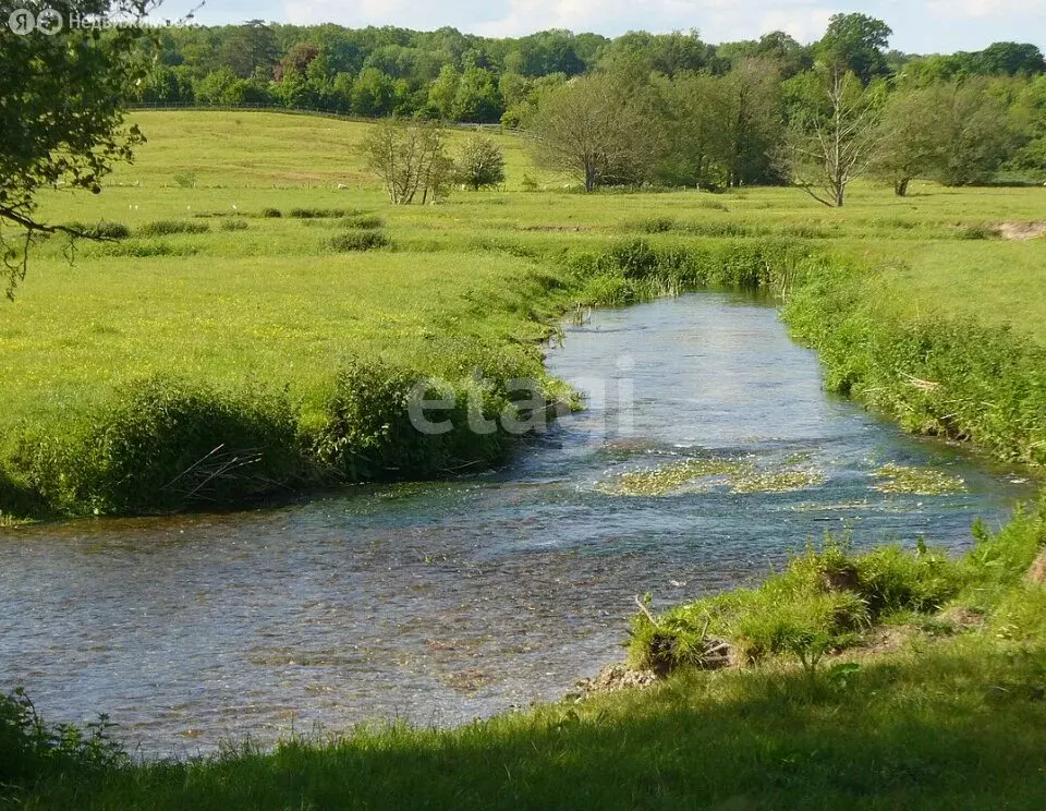 Участок в Тамбовский муниципальный округ, село Троицкая Дубрава (600 ... - Фото 1
