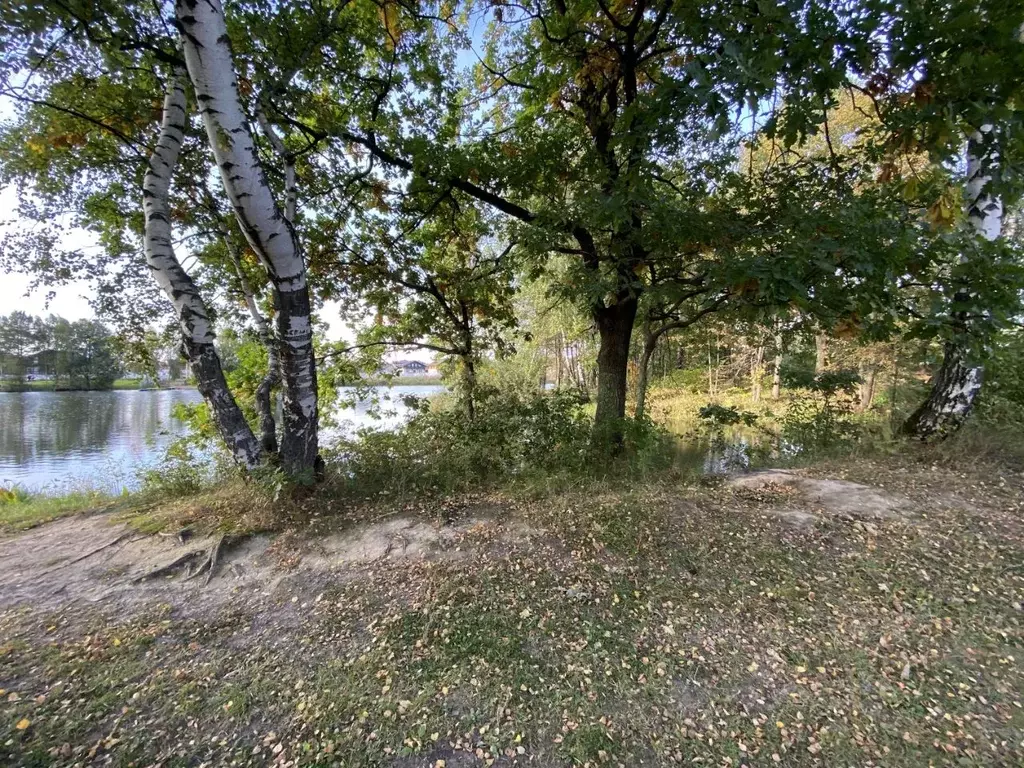 Участок в Московская область, Домодедово КП Рэд тер., 246 (11.37 сот.) - Фото 2