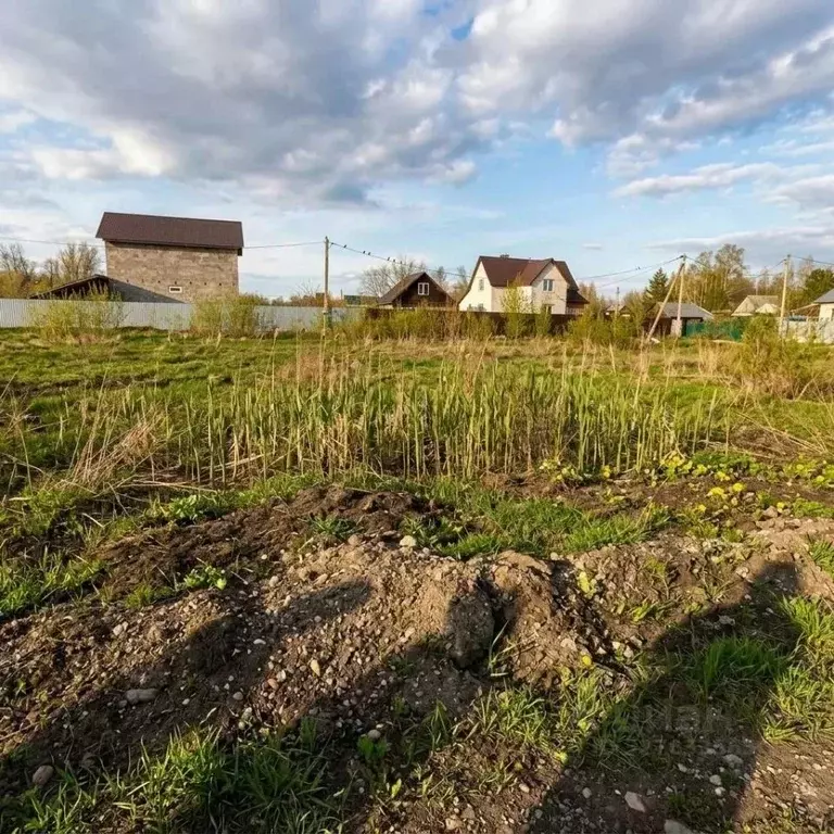 Участок в Оренбургская область, Оренбургский район, Степановский ... - Фото 2
