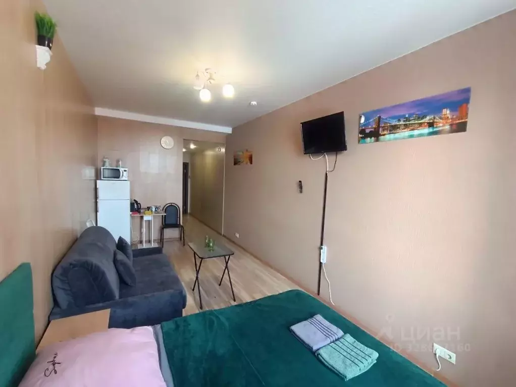 Студия Московская область, Электросталь Комсомольская ул., 1 (27.0 м) - Фото 2