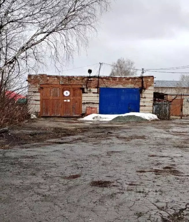 Помещение свободного назначения в Новосибирская область, Коченево рп ... - Фото 0