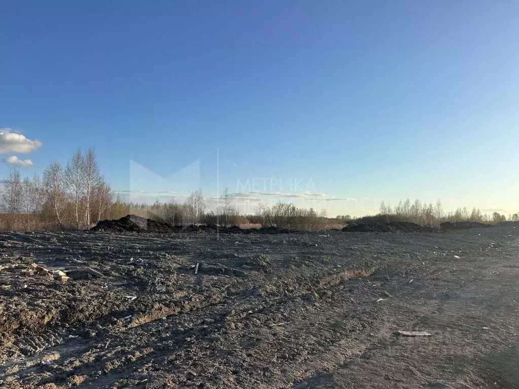 Участок в Тюменская область, Тюмень  (6.0 сот.) - Фото 2