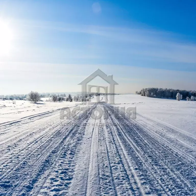 Участок в Красноярский край, Емельяново городское поселение, д. ... - Фото 0