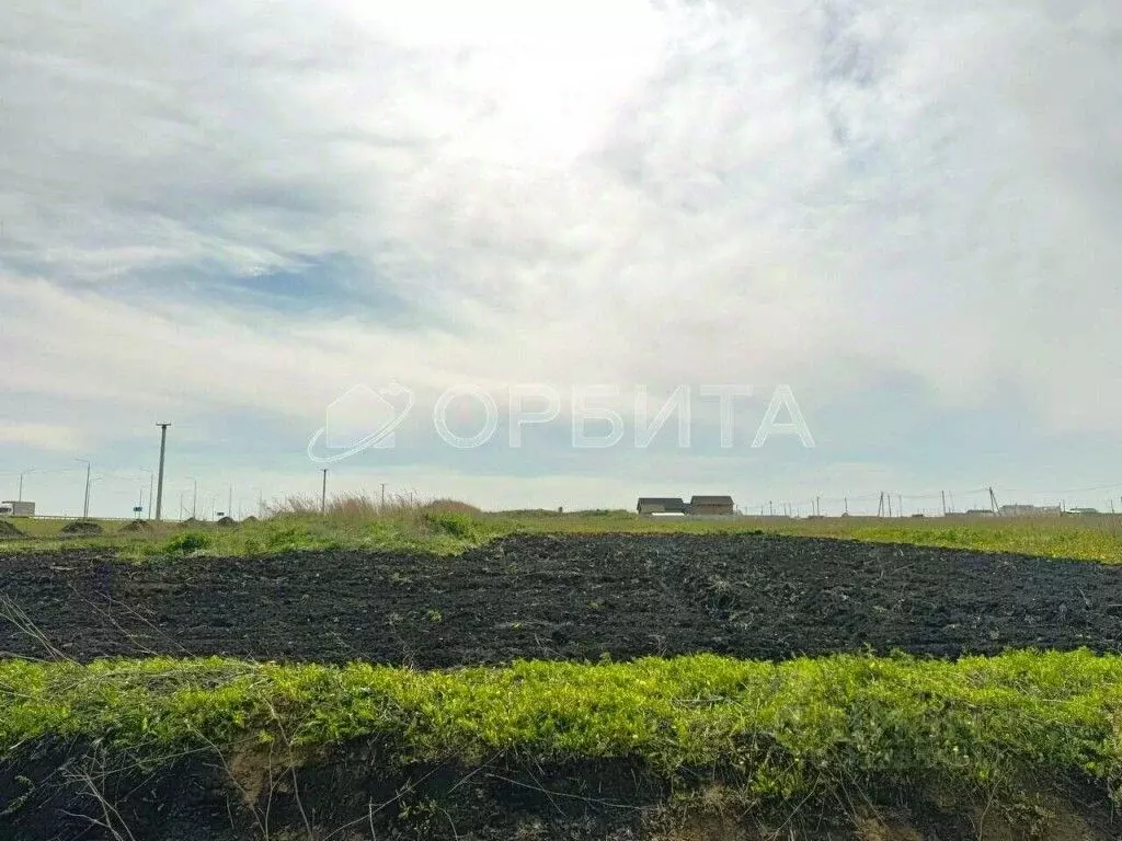 Участок в Тюменская область, Тюменский район, д. Елань 14 (28.0 сот.) - Фото 1