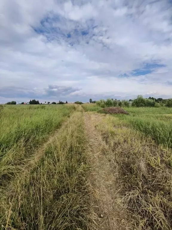 Участок в Московская область, Коломна городской округ, д. Губастово  ... - Фото 2