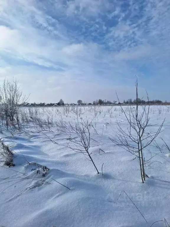 Участок в Псковская область, Псковский район, Писковичская волость, д. ... - Фото 1