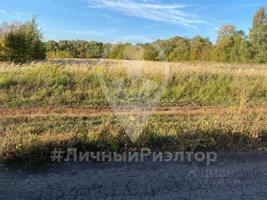 Участок в Рязанская область, Михайловский муниципальный округ, д. ... - Фото 2