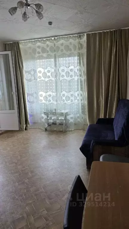 Студия Ленинградская область, Сертолово Всеволожский район, ул. ... - Фото 1
