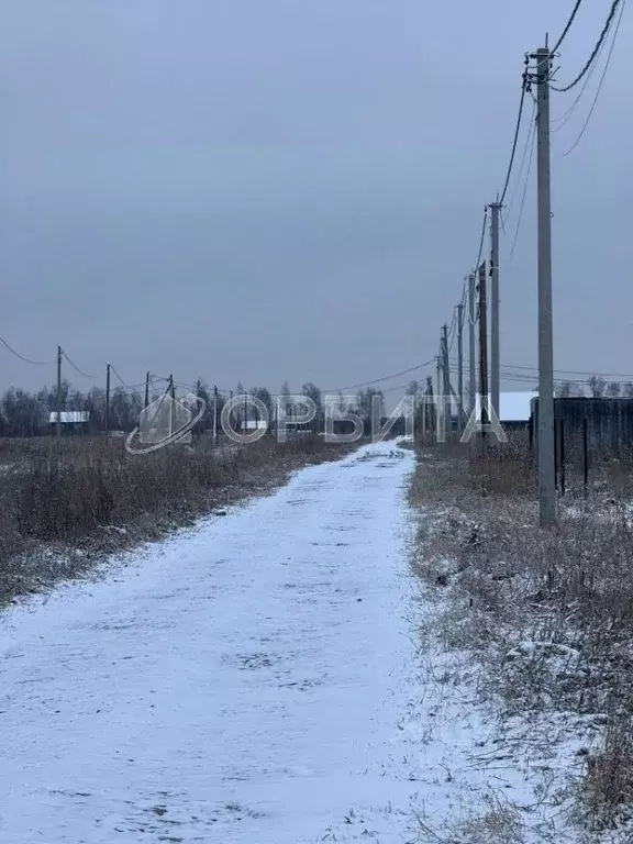 Участок в Тюменская область, Тюмень Большое Царево-1 СНТ,  (9.72 сот.) - Фото 1