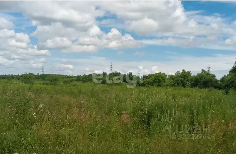 Участок в Хабаровский край, Хабаровский район, Тополевское с/пос, с. ... - Фото 2