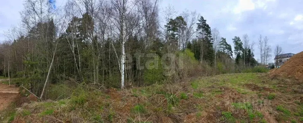 Участок в Московская область, Одинцовский городской округ, д. Дарьино, ... - Фото 1