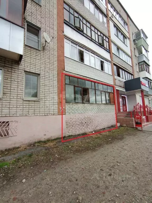 Помещение свободного назначения в Брянская область, Брянск ул. ... - Фото 0