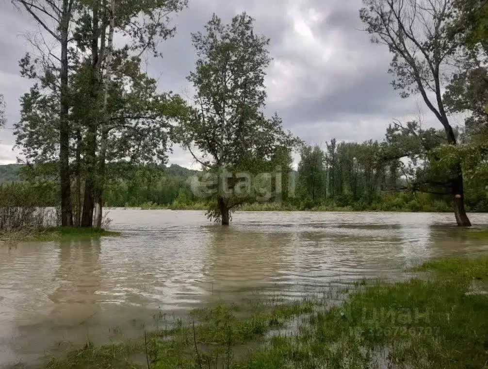 Участок в Алтай, Майминский район, пос. Дубровка Набережная ул., 14 ... - Фото 0