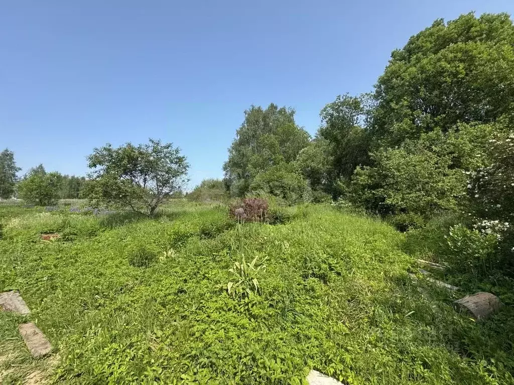 Участок в Смоленская область, Смоленский муниципальный округ, д. ... - Фото 1