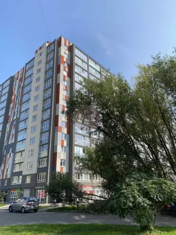 1-к кв. Калининградская область, Калининград ул. Старшины Дадаева, 66 ... - Фото 2