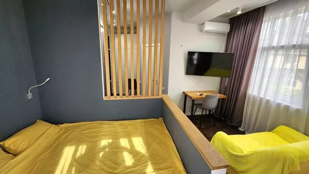 Студия Краснодарский край, Сочи Виноградная ул., 204Б (31.0 м) - Фото 2