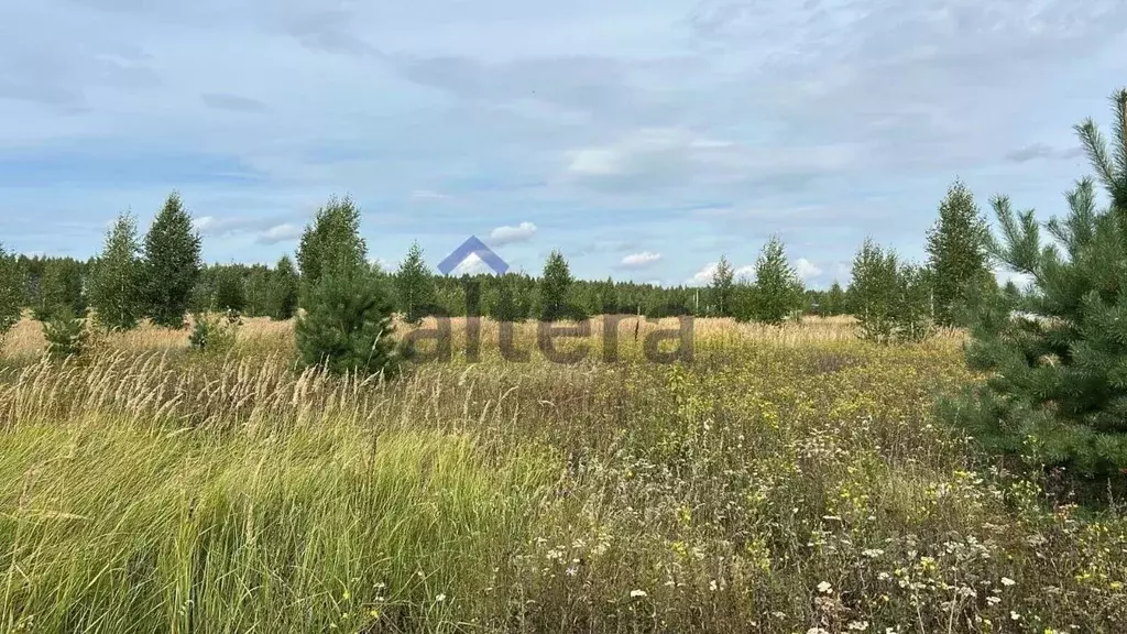 Участок в Татарстан, Рыбно-Слободский район, Анатышское с/пос, с. ... - Фото 2