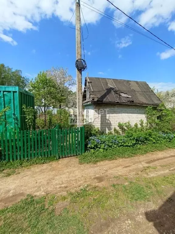 Участок в Нижегородская область, Бор Силикатчик СНТ, 19 (5.0 сот.) - Фото 2