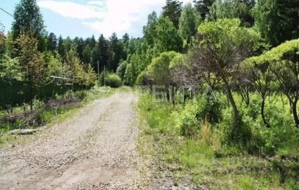 Участок в Тюменская область, Тюменский район, д. Ушакова  (6.0 сот.) - Фото 1